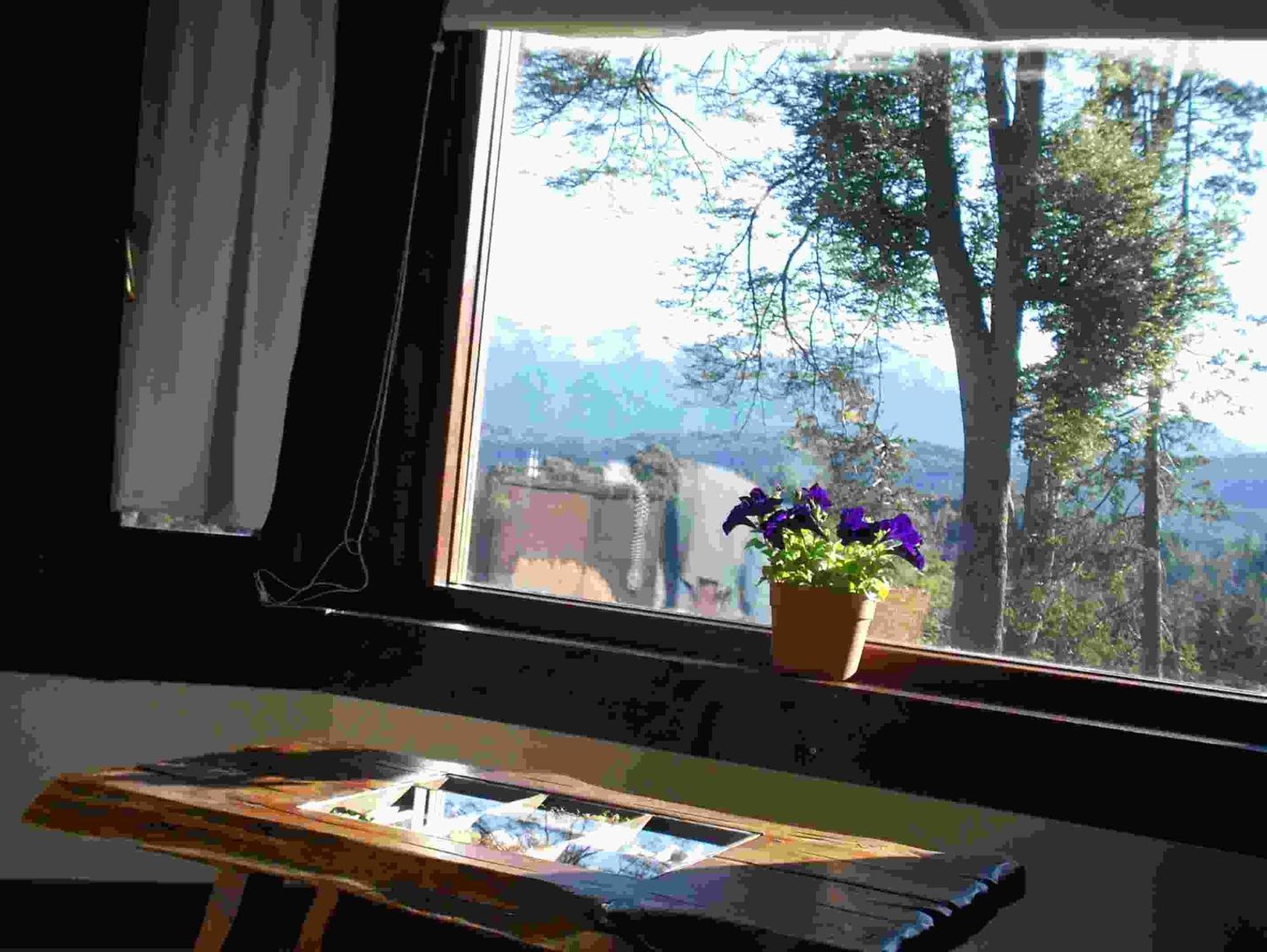 Hosteria Naranjo En Flor فيلا لا أنجوستورا المظهر الخارجي الصورة
